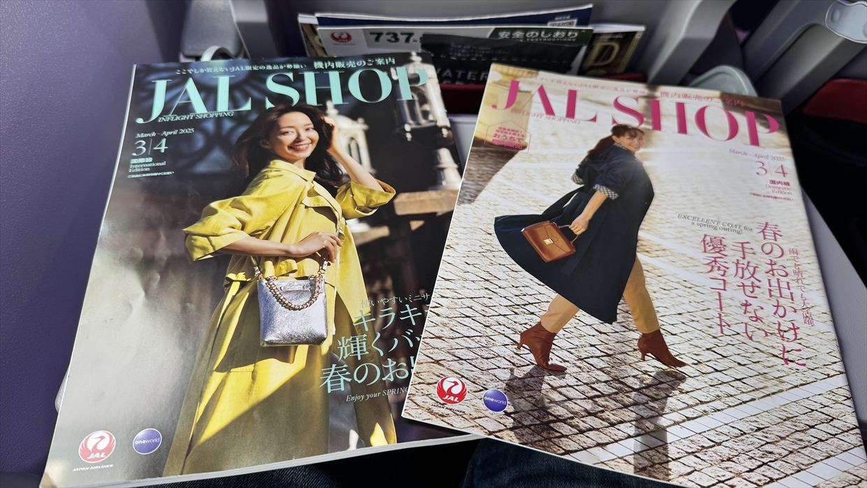 【フライトの様子】JAL201 羽田~中部 Apr25 B737-800型機 普通席