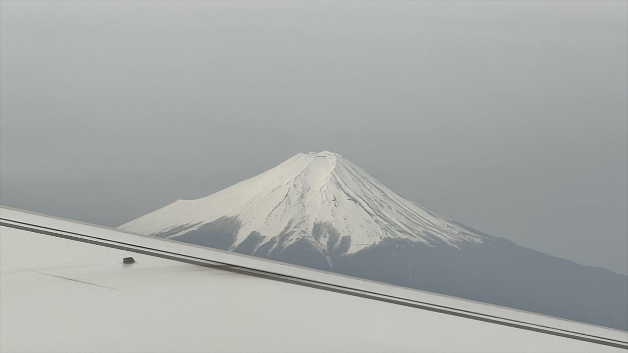 【フライトの様子】JAL201 羽田~中部 Apr25 B737-800型機 普通席