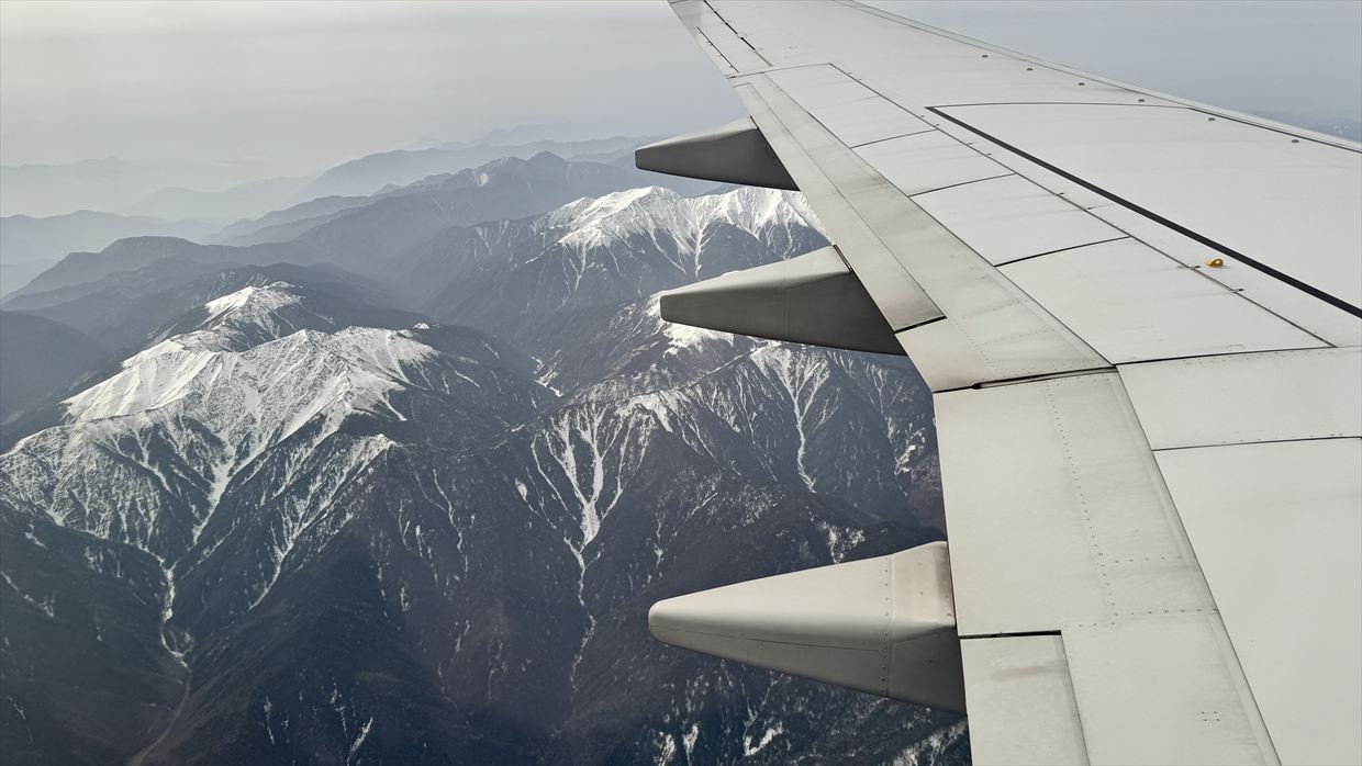 【フライトの様子】JAL201 羽田~中部 Apr25 B737-800型機 普通席