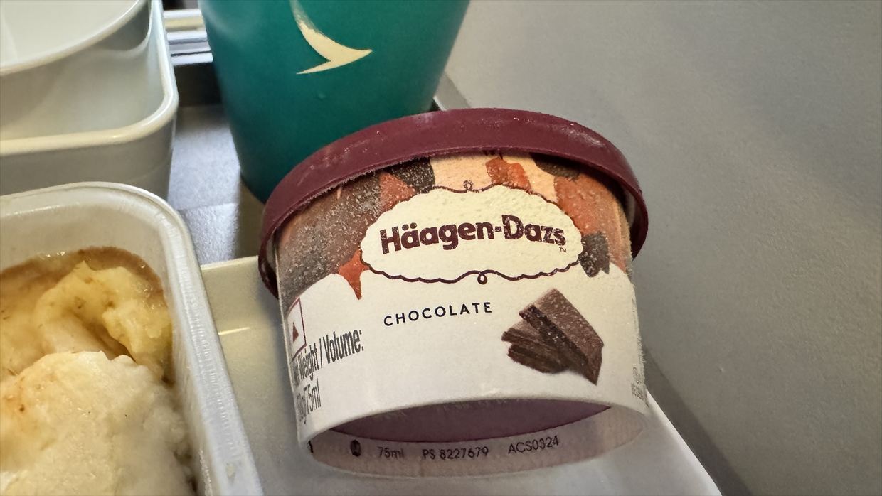 【フライト&機内食レポ】中部~台北 CX531便 エコノミークラス 25年04月