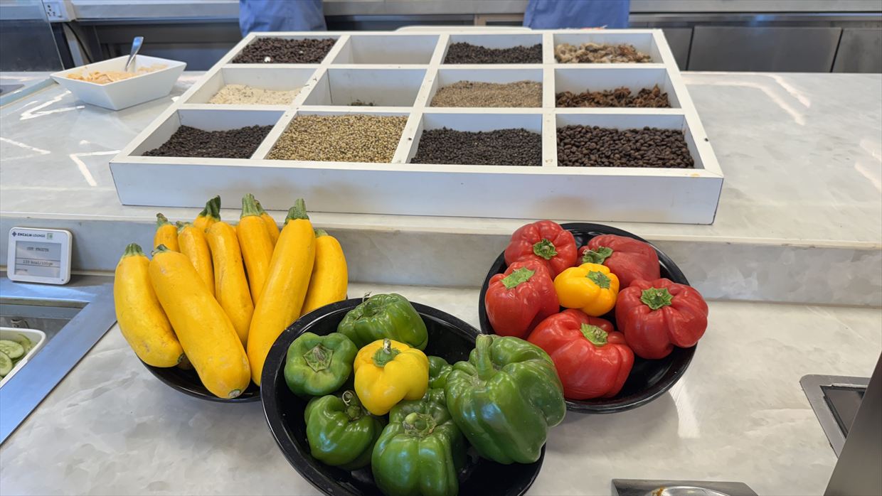 【プライオリティパス】デリー空港 ターミナル1 Encalm Lounge 25年5月