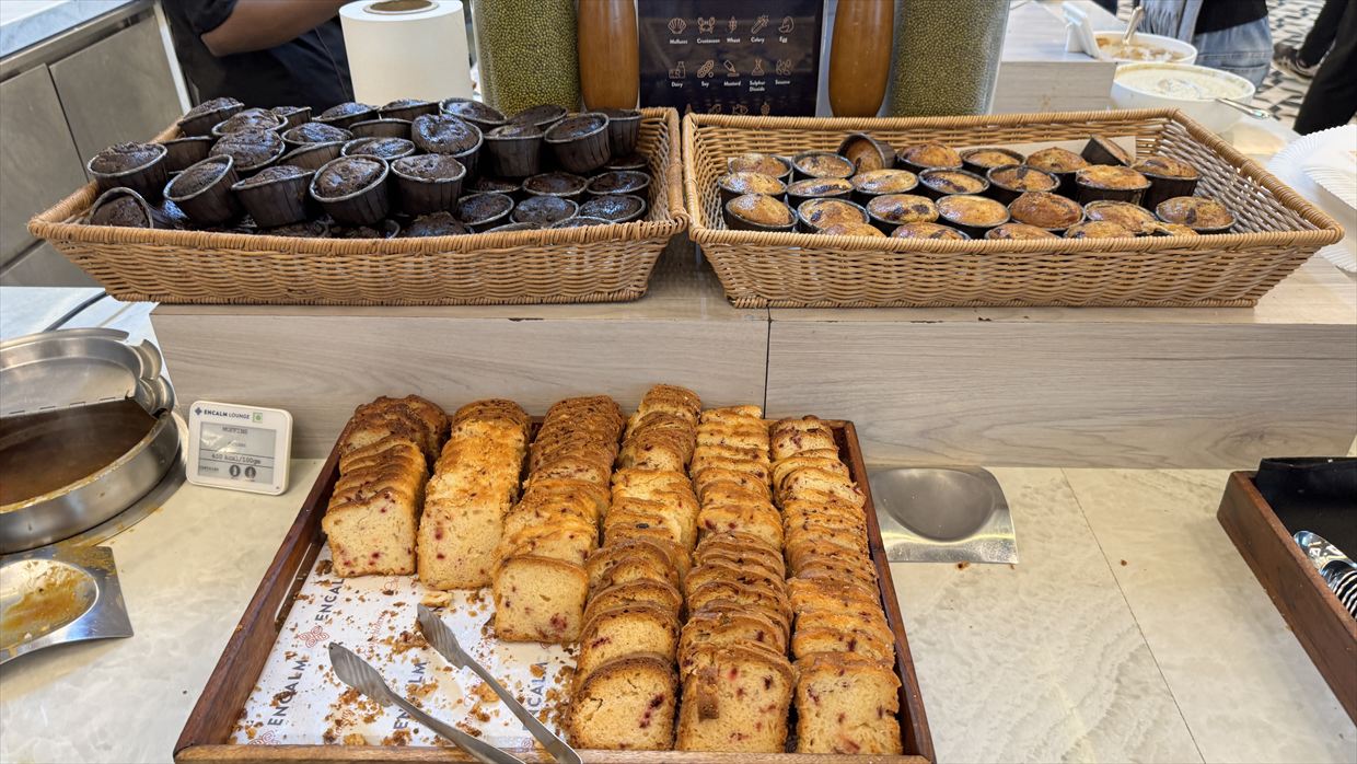 【プライオリティパス】デリー空港 ターミナル1 Encalm Lounge 25年5月