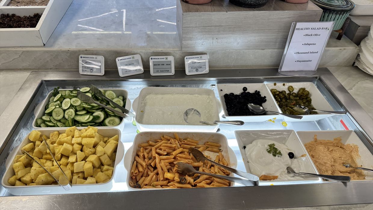 【プライオリティパス】デリー空港 ターミナル1 Encalm Lounge 25年5月