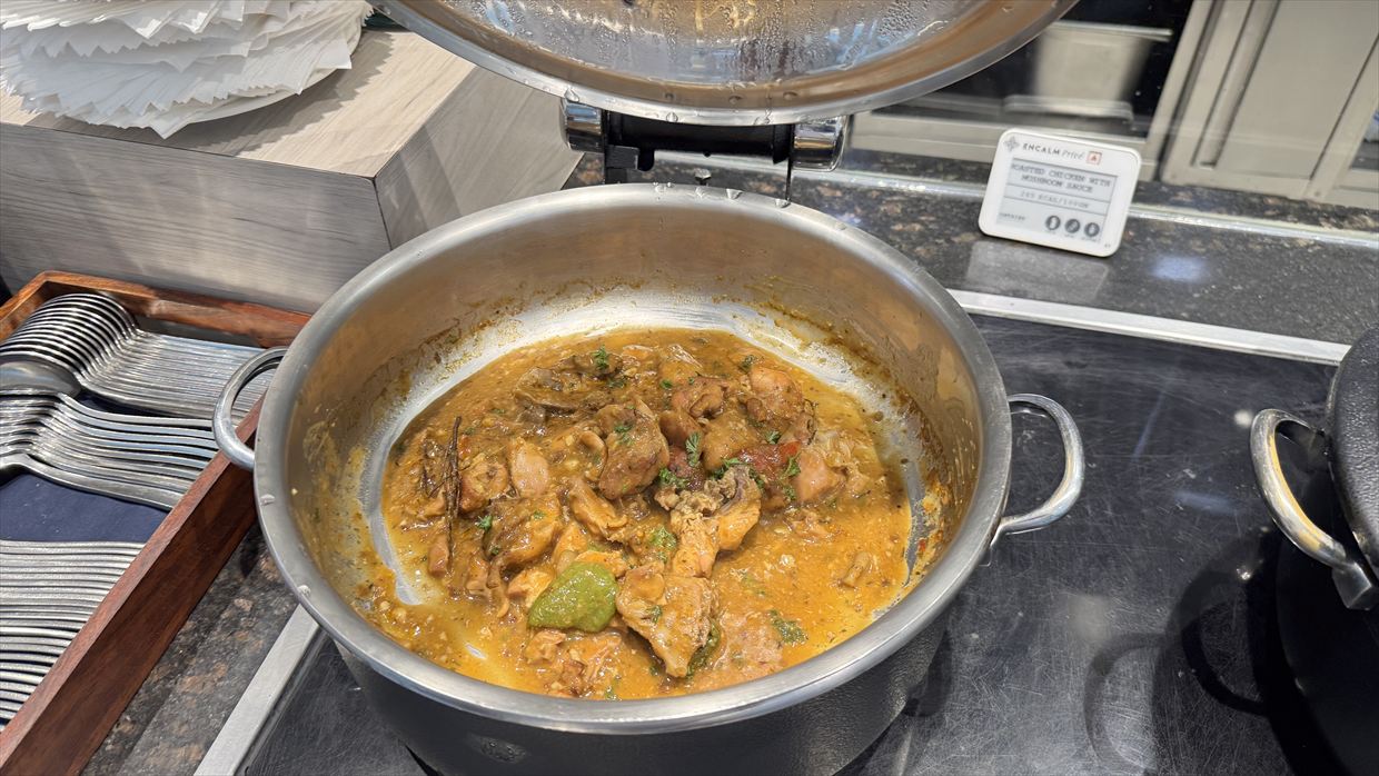 【ラウンジレポ】デリー空港 ENCALM Prive Lounge 01Jan25