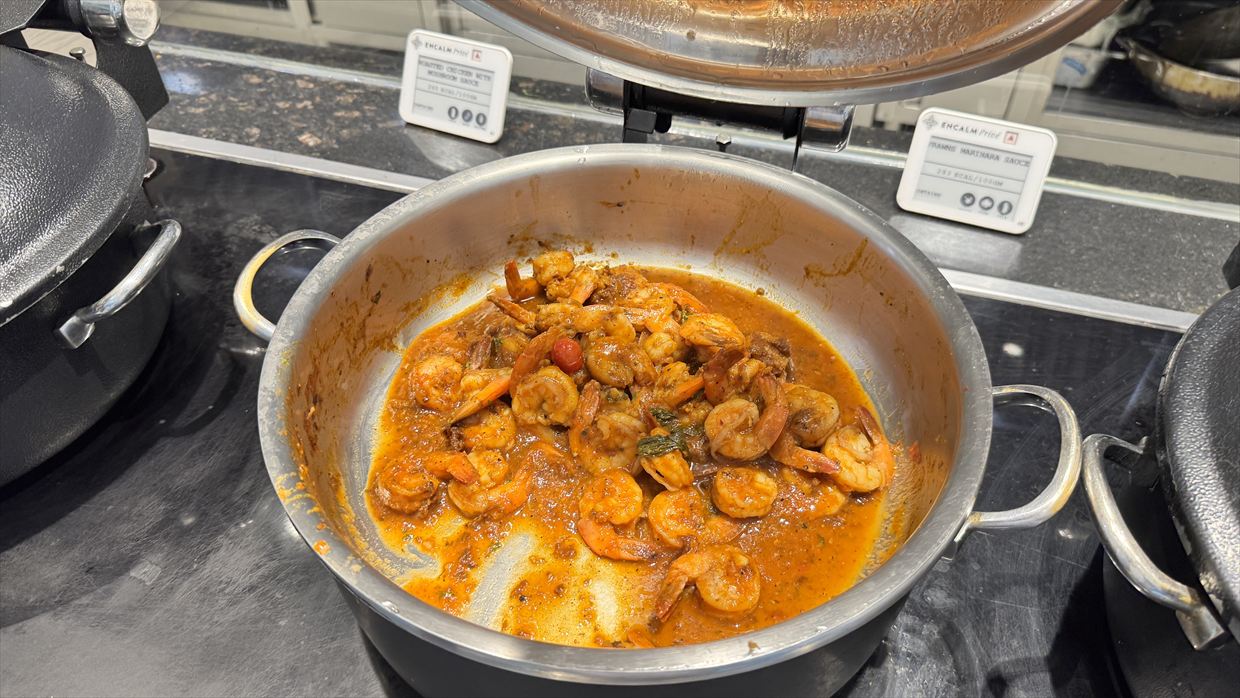 【ラウンジレポ】デリー空港 ENCALM Prive Lounge 01Jan25