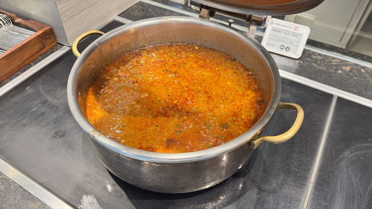 【ラウンジレポ】デリー空港 ENCALM Prive Lounge 01Jan25