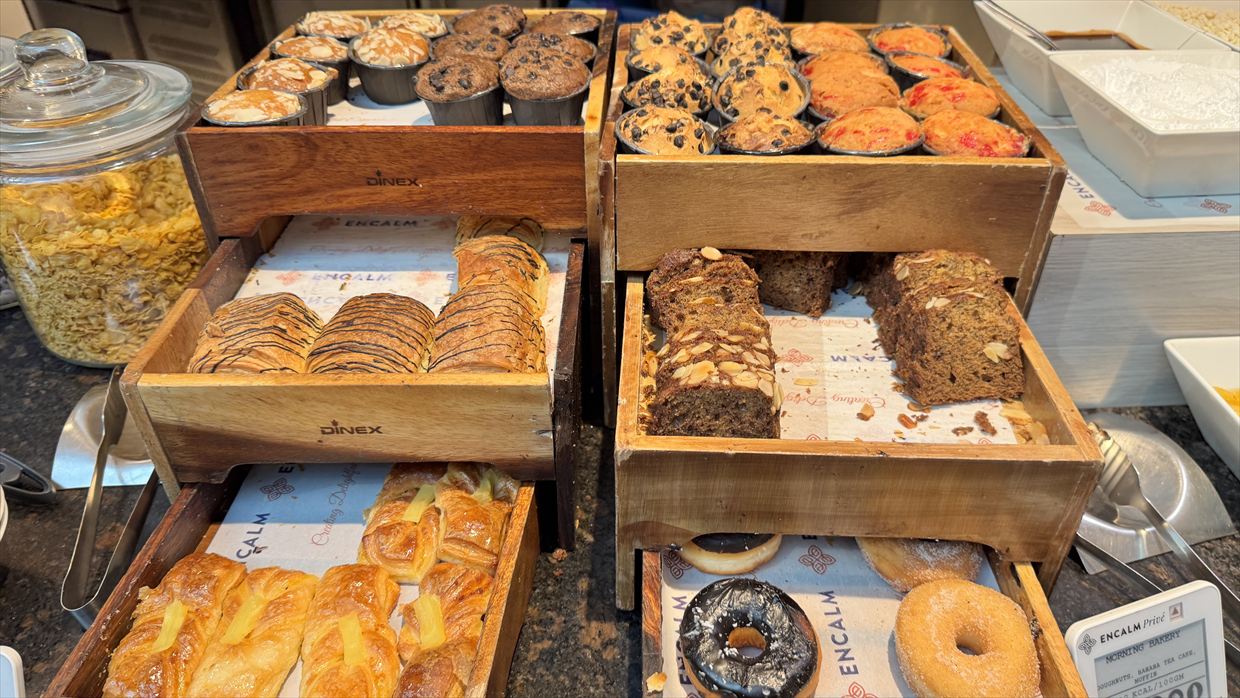 【ラウンジレポ】デリー空港 ENCALM Prive Lounge 01Jan25