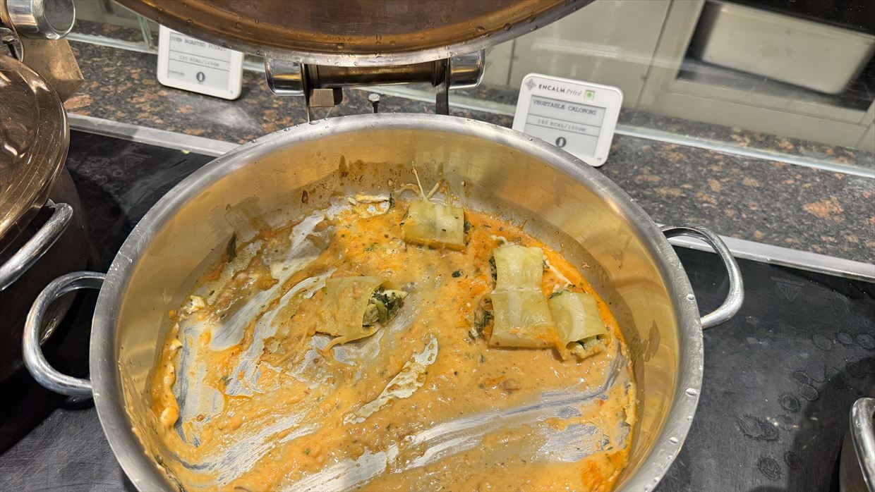 【ラウンジレポ】デリー空港 ENCALM Prive Lounge 01Jan25