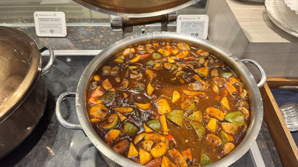 【ラウンジレポ】デリー空港 ENCALM Prive Lounge 01Jan25