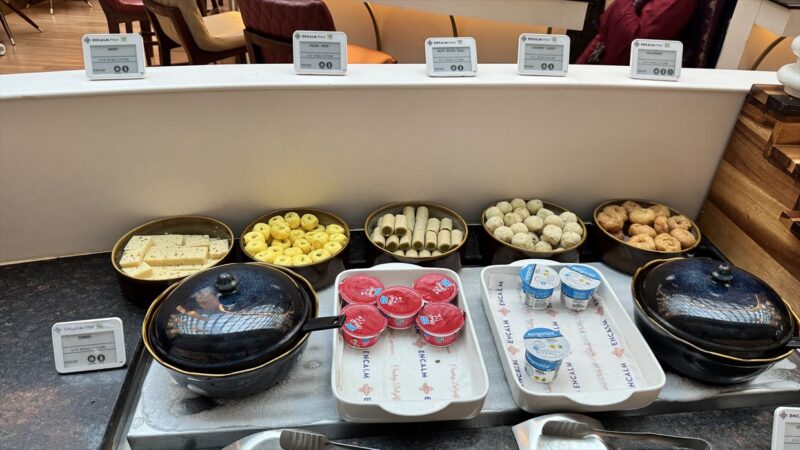 【ラウンジレポ】デリー空港 ENCALM Prive Lounge 01Jan25