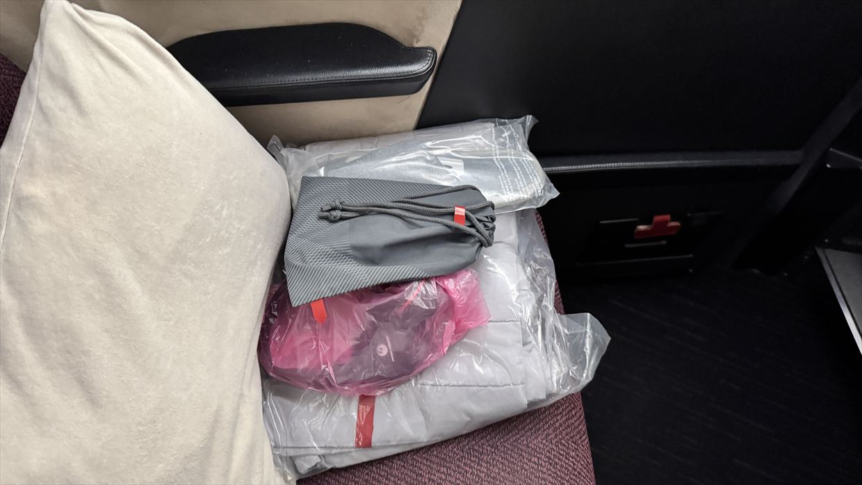 【フライトの様子】SKY SUITYEⅢ ビジネスクラス JAL30 デリー～羽田 May25 B787-900型機