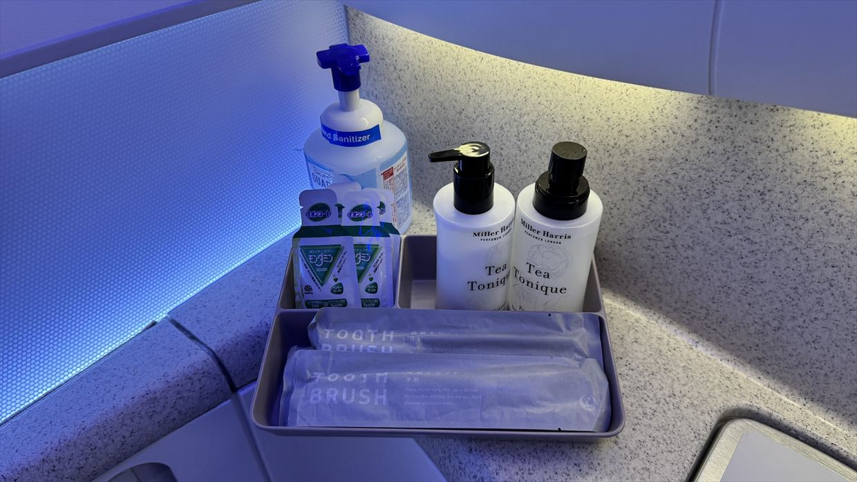 【フライトの様子】SKY SUITYEⅢ ビジネスクラス JAL30 デリー～羽田 May25 B787-900型機