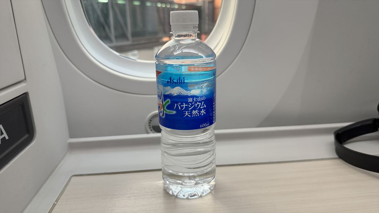 【フライトの様子】SKY SUITYEⅢ ビジネスクラス JAL30 デリー～羽田 May25 B787-900型機