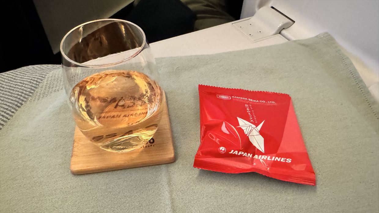【機内食レポ】デリー~羽田 JAL30便 ビジネスクラス メインのお食事 25年05月