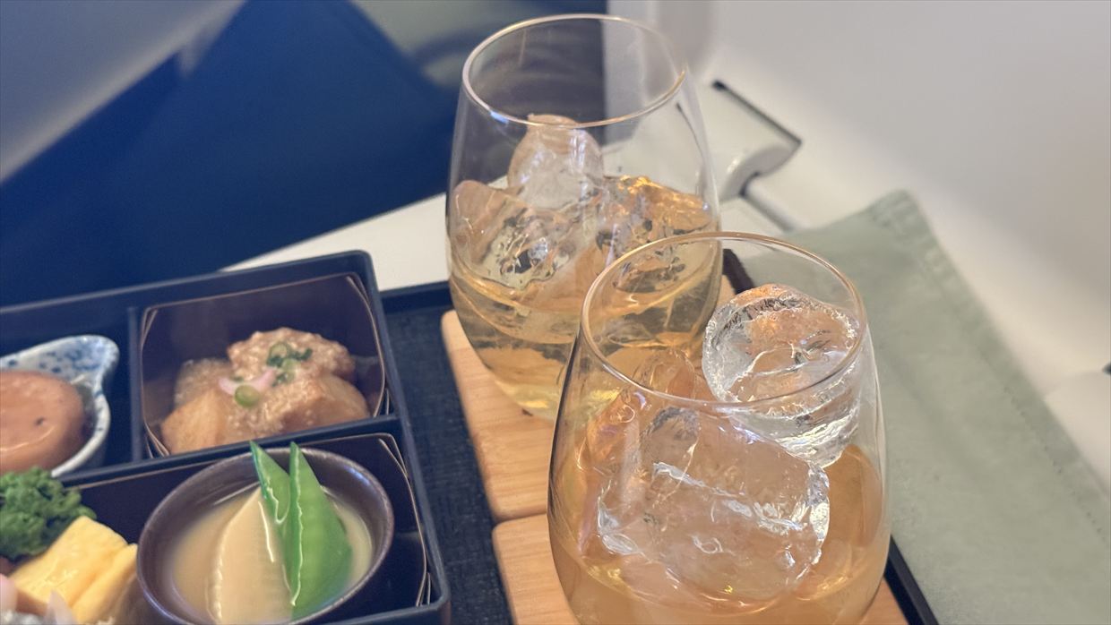 【機内食レポ】デリー~羽田 JAL30便 ビジネスクラス メインのお食事 25年05月