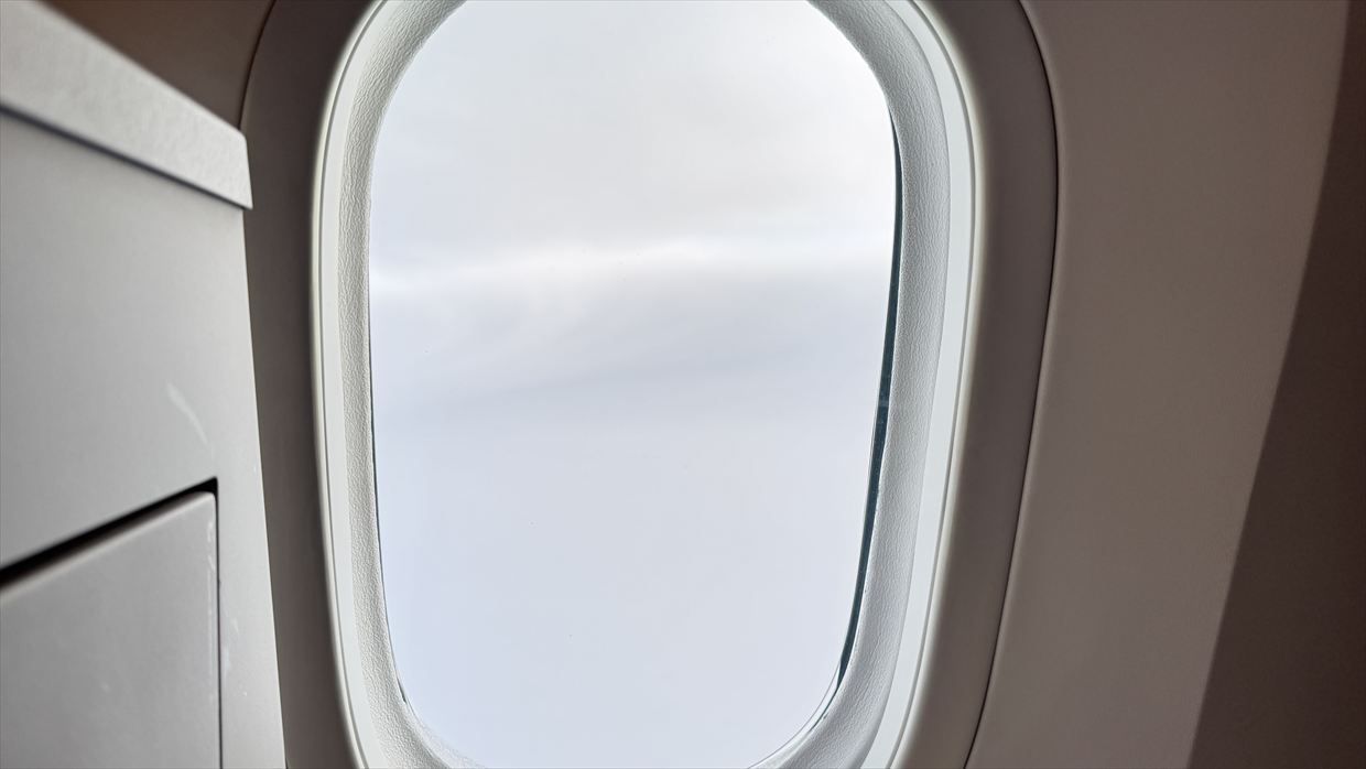 【フライトの様子】SKY SUITYEⅢ ビジネスクラス JAL30 デリー～羽田 May25 B787-900型機