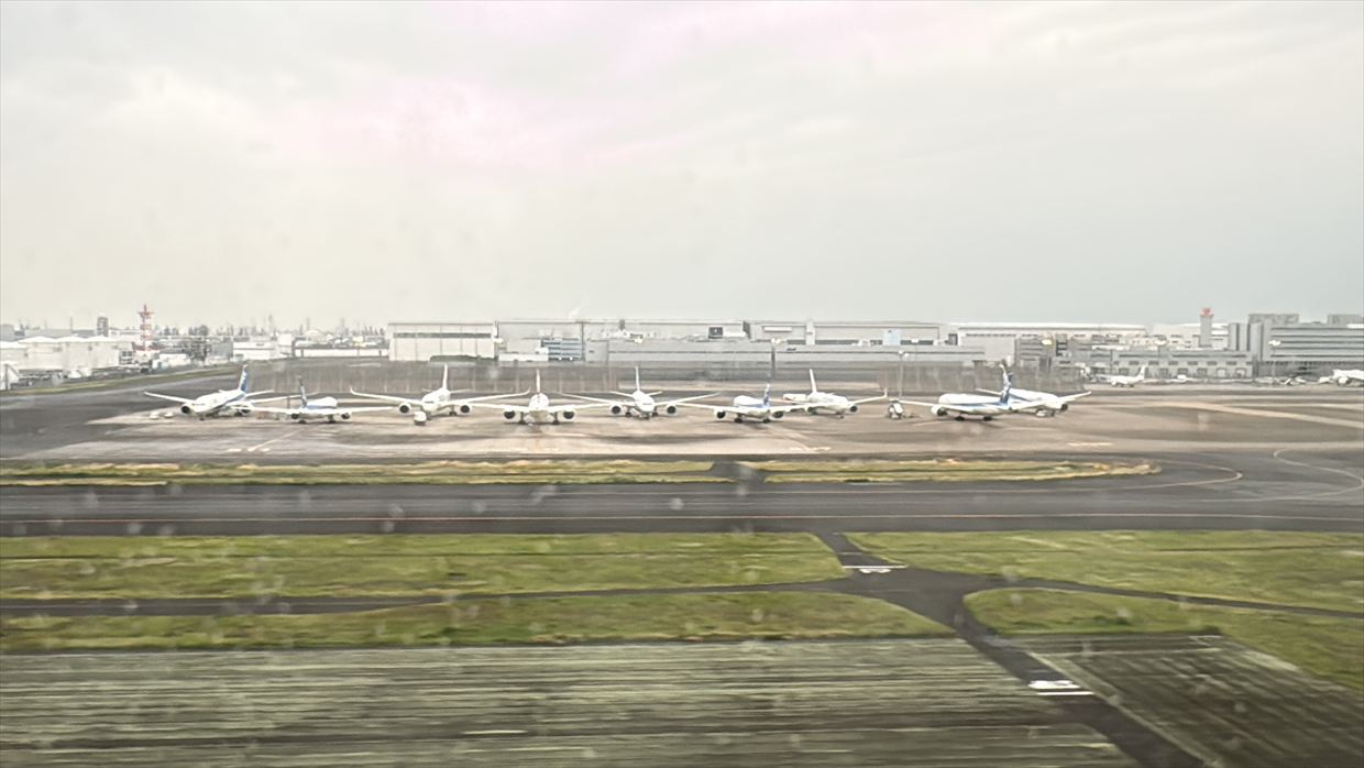 【フライトの様子】SKY SUITYEⅢ ビジネスクラス JAL30 デリー～羽田 May25 B787-900型機