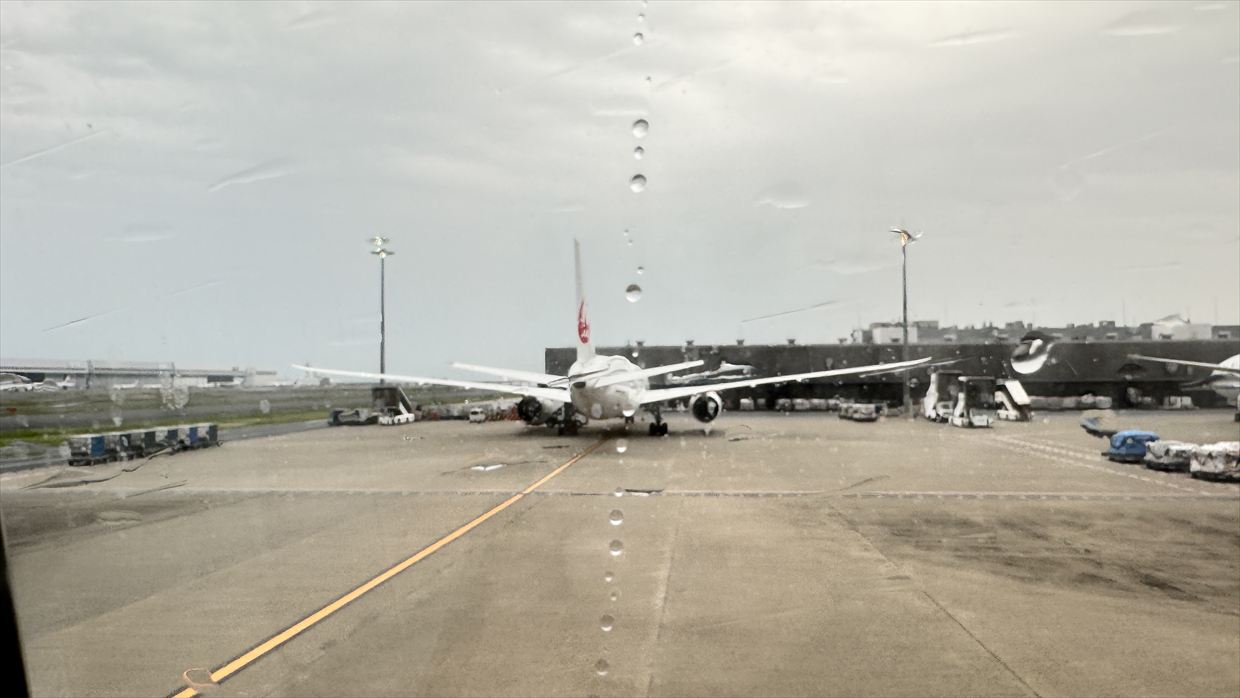 【フライトの様子】SKY SUITYEⅢ ビジネスクラス JAL30 デリー～羽田 May25 B787-900型機