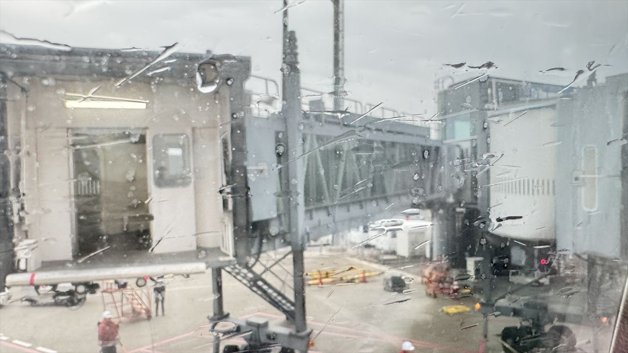 【フライトの様子】SKY SUITYEⅢ ビジネスクラス JAL30 デリー～羽田 May25 B787-900型機