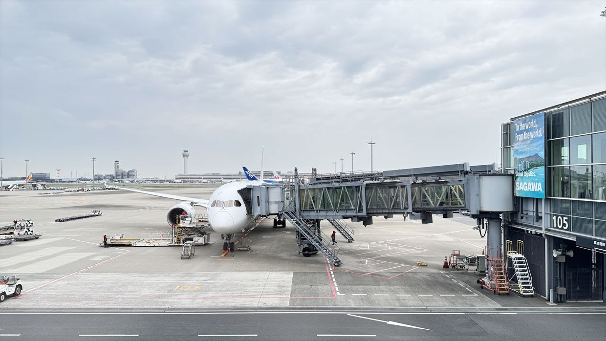 【フライトの様子】SKY SUITYEⅢ ビジネスクラス JAL30 デリー～羽田 May25 B787-900型機