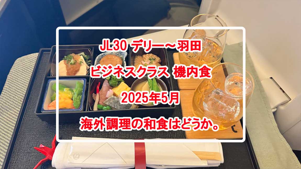 【機内食レポ】デリー～羽田 JAL30便 ビジネスクラス メインのお食事 25年05月