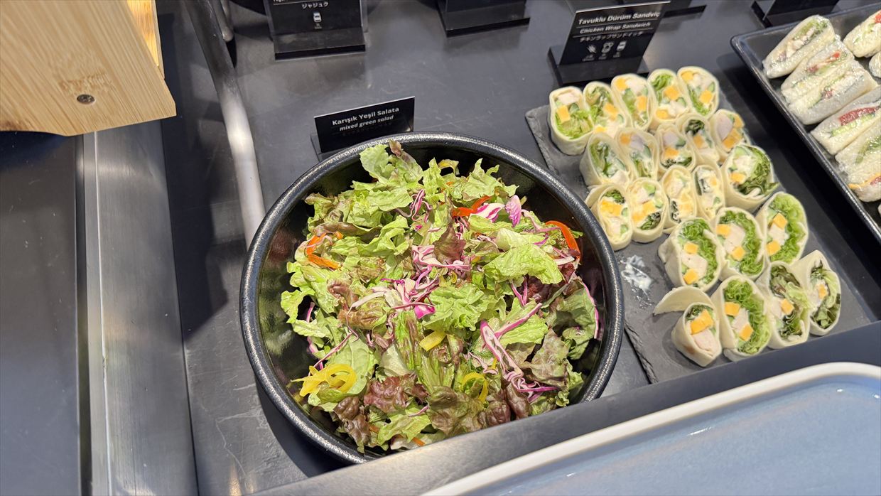 【ラウンジレポ】成田空港 ターミナル1 ターキッシュエアラインズ ラウンジ 25年6月