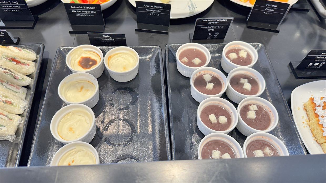 【ラウンジレポ】成田空港 ターミナル1 ターキッシュエアラインズ ラウンジ 25年6月