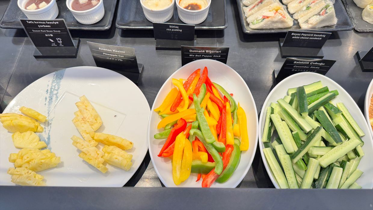 【ラウンジレポ】成田空港 ターミナル1 ターキッシュエアラインズ ラウンジ 25年6月