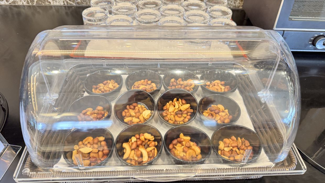 【ラウンジレポ】成田空港 ターミナル1 ターキッシュエアラインズ ラウンジ 25年6月