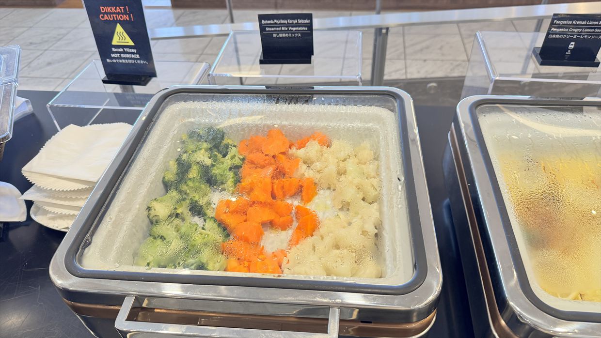 【ラウンジレポ】成田空港 ターミナル1 ターキッシュエアラインズ ラウンジ 25年6月