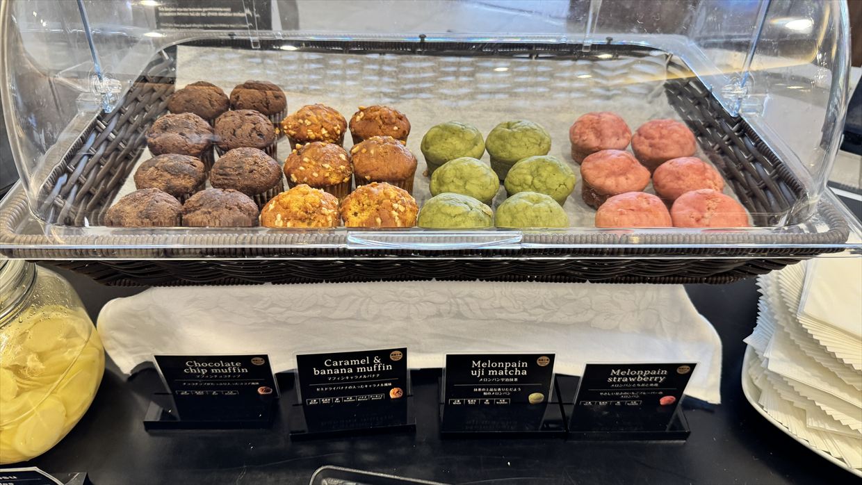 【ラウンジレポ】成田空港 ターミナル1 ターキッシュエアラインズ ラウンジ 25年6月