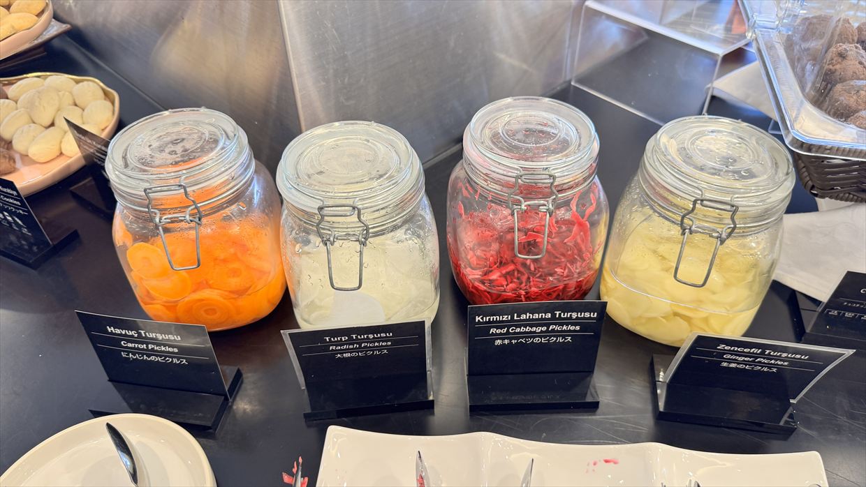 【ラウンジレポ】成田空港 ターミナル1 ターキッシュエアラインズ ラウンジ 25年6月