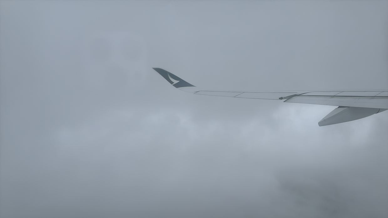 【フライトの様子】CA319 上海浦東～香港 Jun25 A350-900型機 エコノミークラス