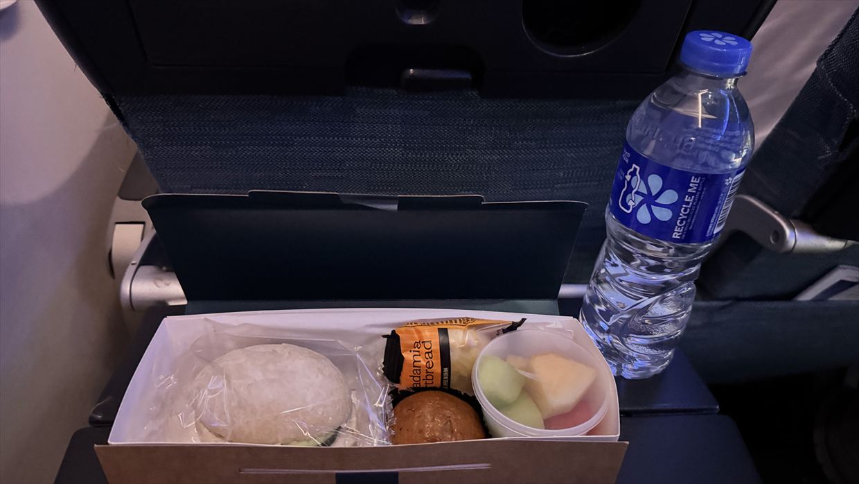 【フライト＆機内食レポ】香港～成田 C524便 エコノミークラス エアバスA321neo 25年06月 エアバスA350-900