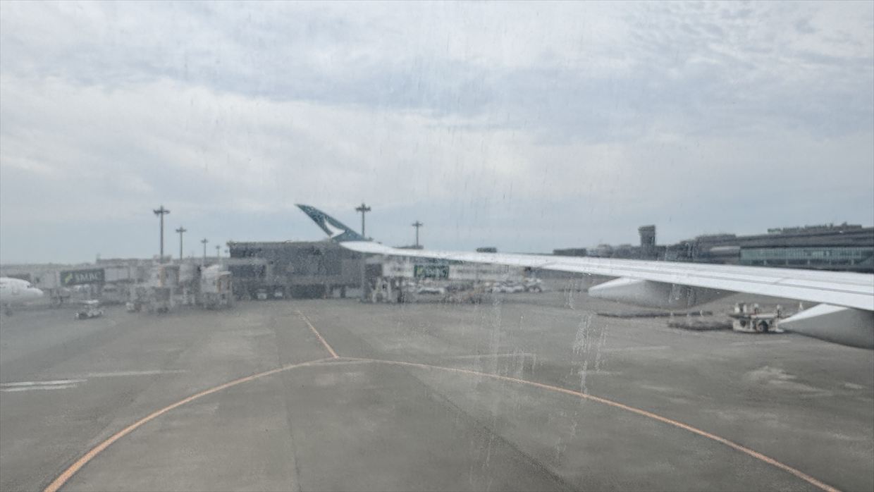 【フライト＆機内食レポ】香港～成田 C524便 エコノミークラス エアバスA321neo 25年06月 エアバスA350-900