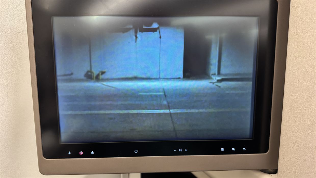 【フライトの様子】UL553 コロンボ～フランクフルト Jul25 A330-300型機 ビジネスクラス