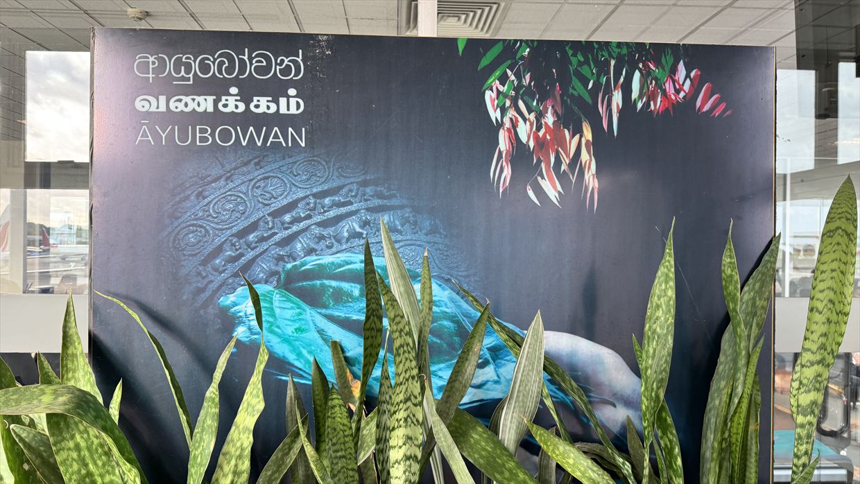 【フライトの様子】UL554 フランクフルト~コロンボ Jul25 A330-300型機 ビジネスクラス