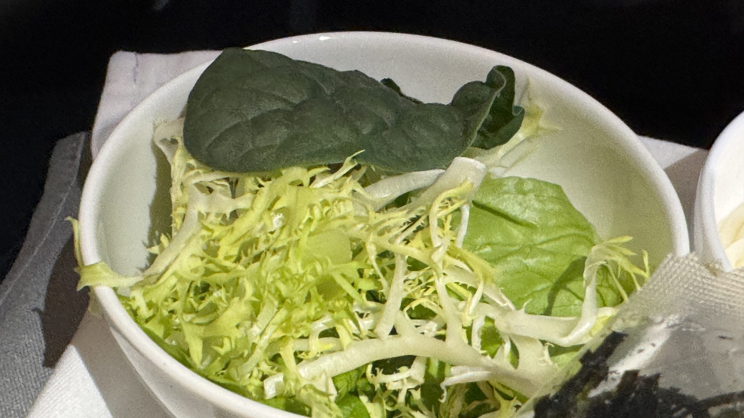 【機内食レポ】成田~香港 CX527便 ビジネスクラス 25年09月