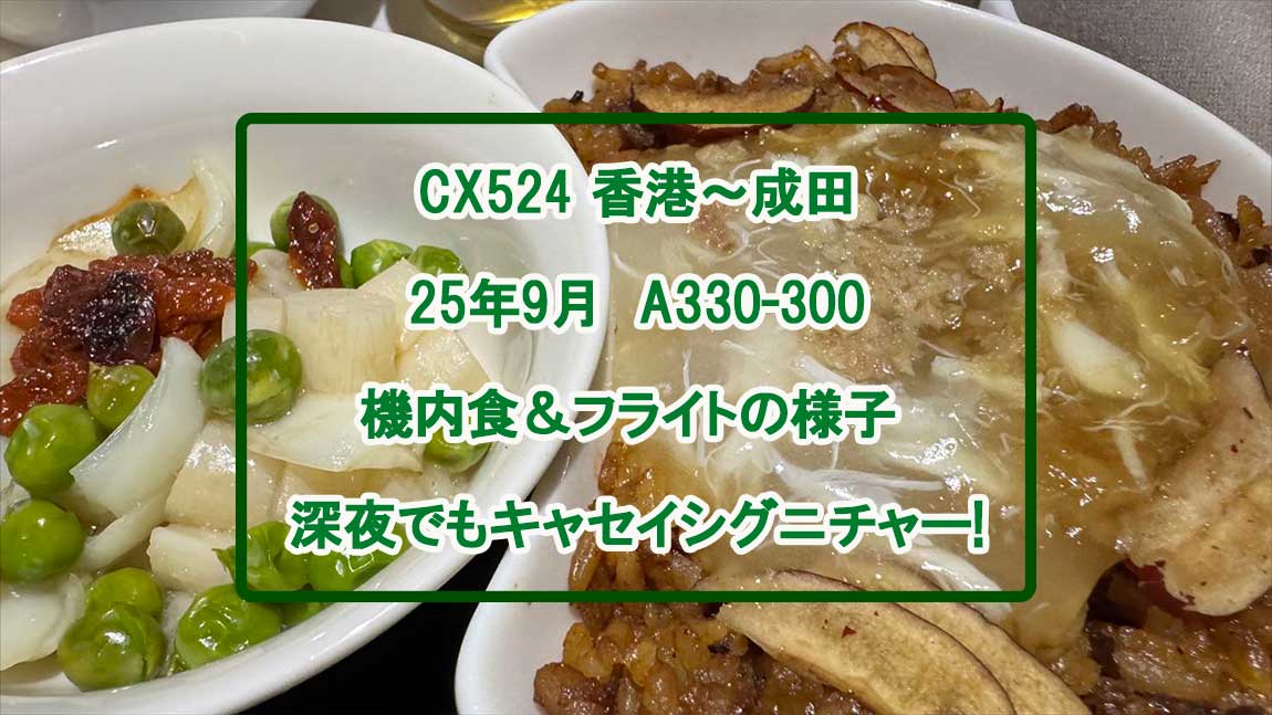 【機内食＆フライトレポ】香港～成田 CX524便 ビジネスクラス 25年09月
