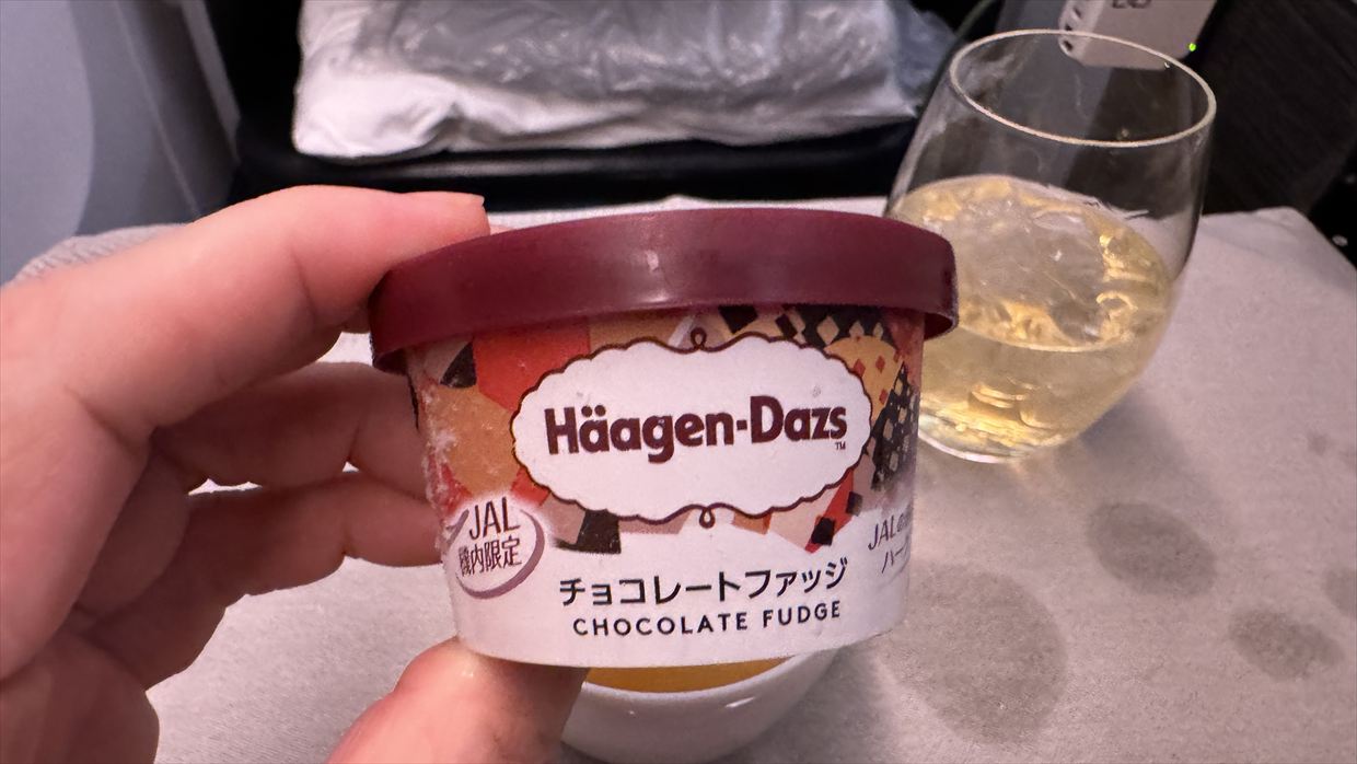 【機内食レポ】JL51 羽田～シドニー ビジネスクラス 25年11月 アラカルトメニュー①