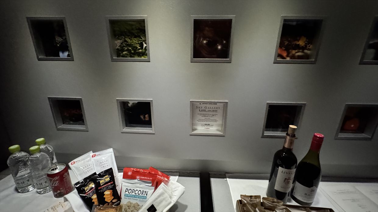 【フライトの様子】JL51 羽田～シドニー Nov25 B777-300ER ビジネスクラス・Sky SuiteⅠ