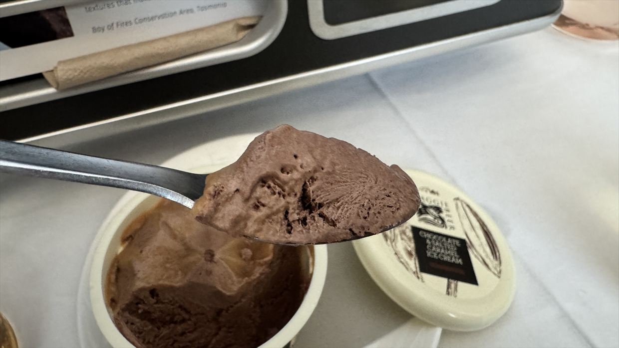 【フライトの様子】QF33 シドニー~パース Nov25 B787-900 ビジネスクラス